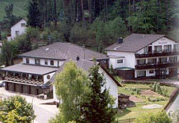 Hotel Restaurant Haus Waldesruh Eppenbrunn Exterior photo